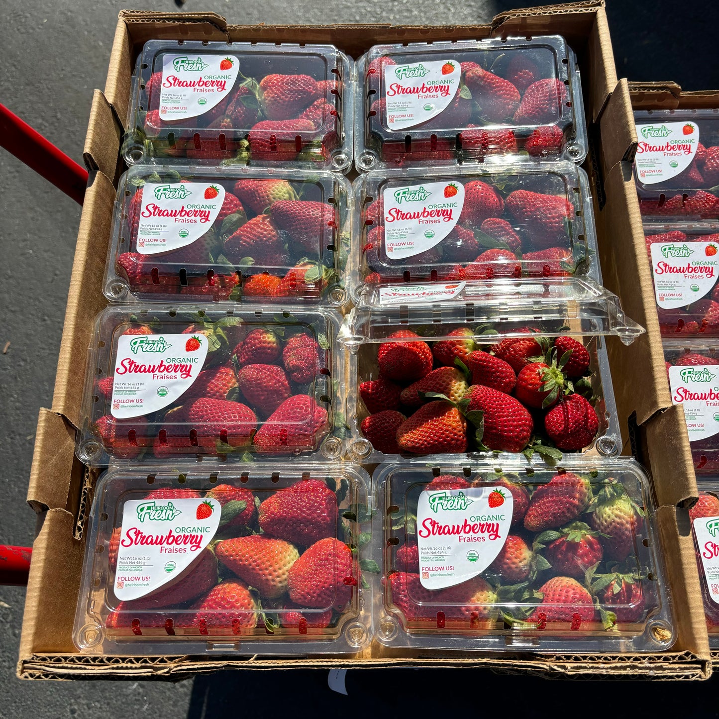 Organic Strawberry Box (8.0 lbs)