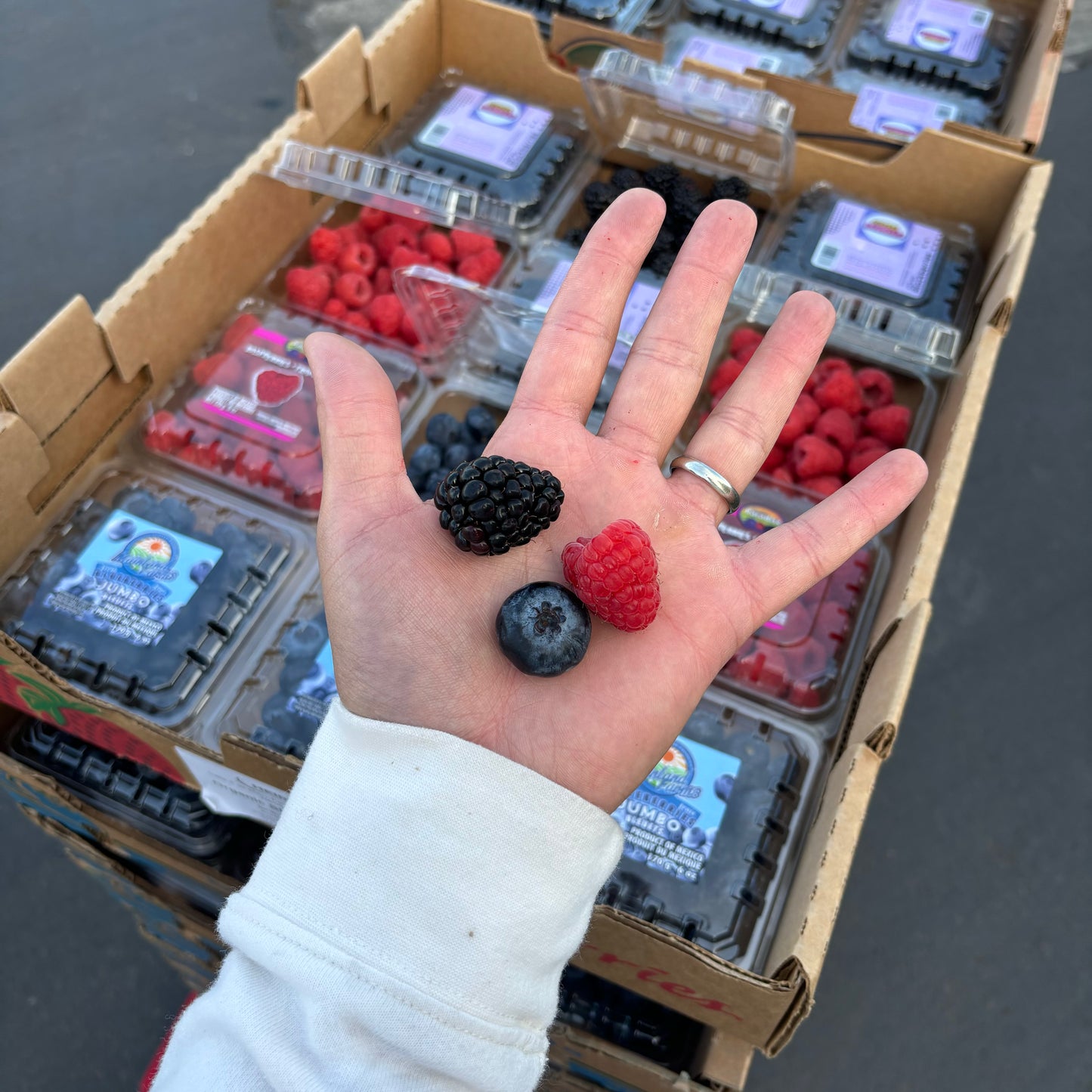 Berry Box (12 packs)