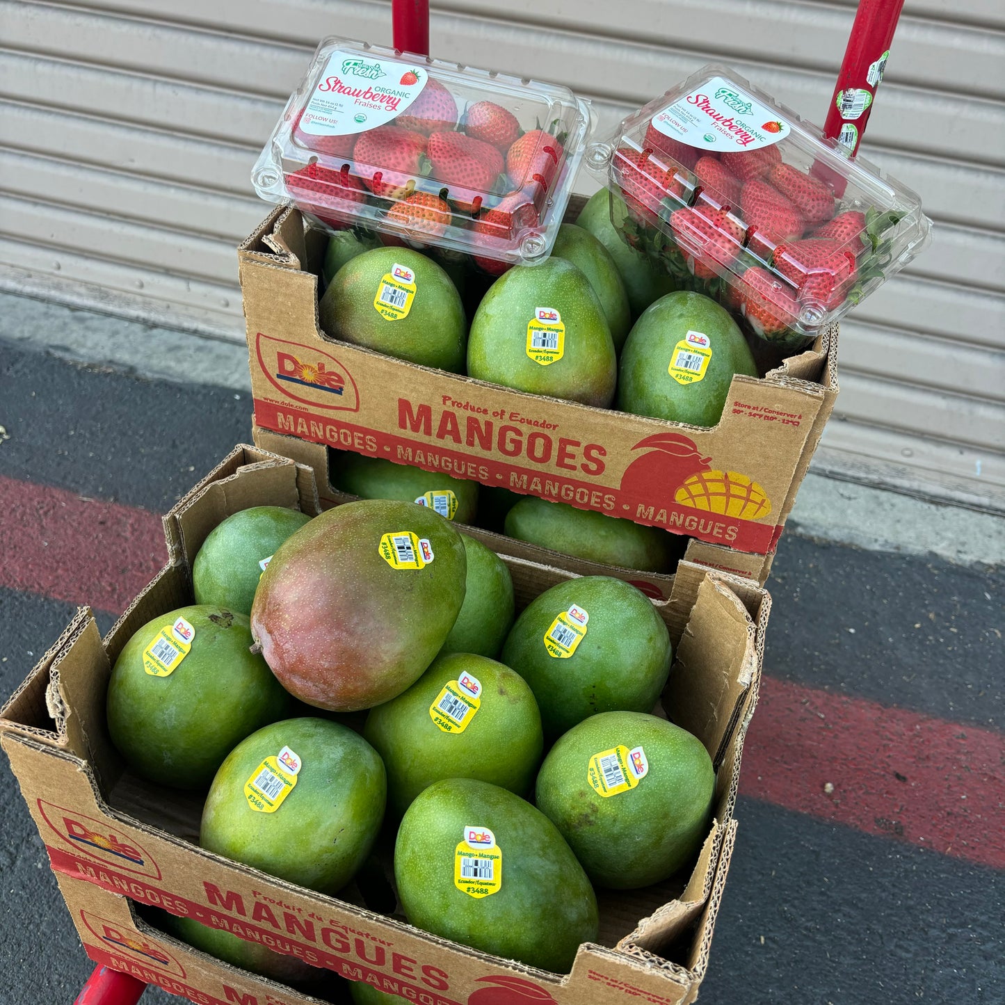Mango Box + Organic Strawberries