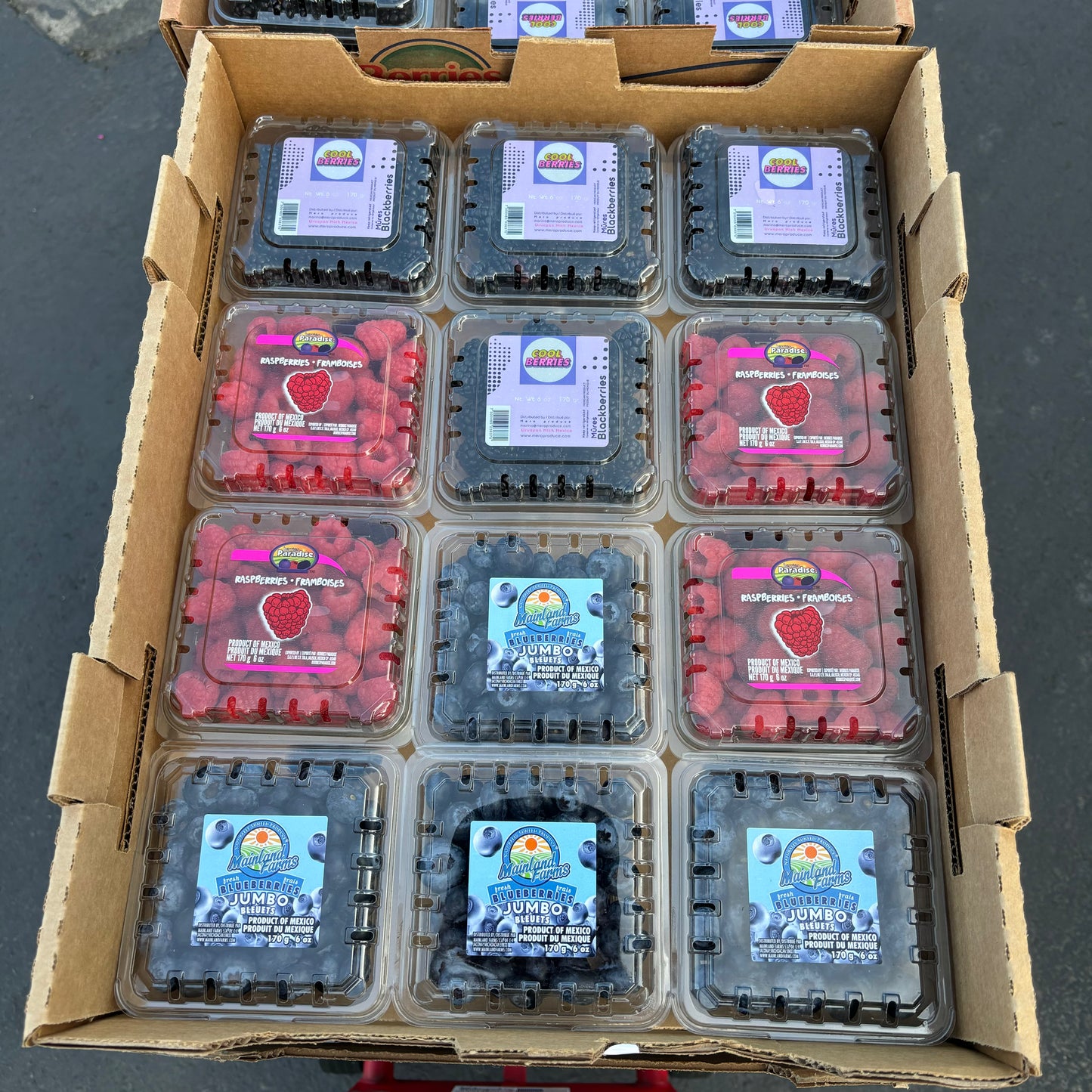 Berry Box (12 packs)