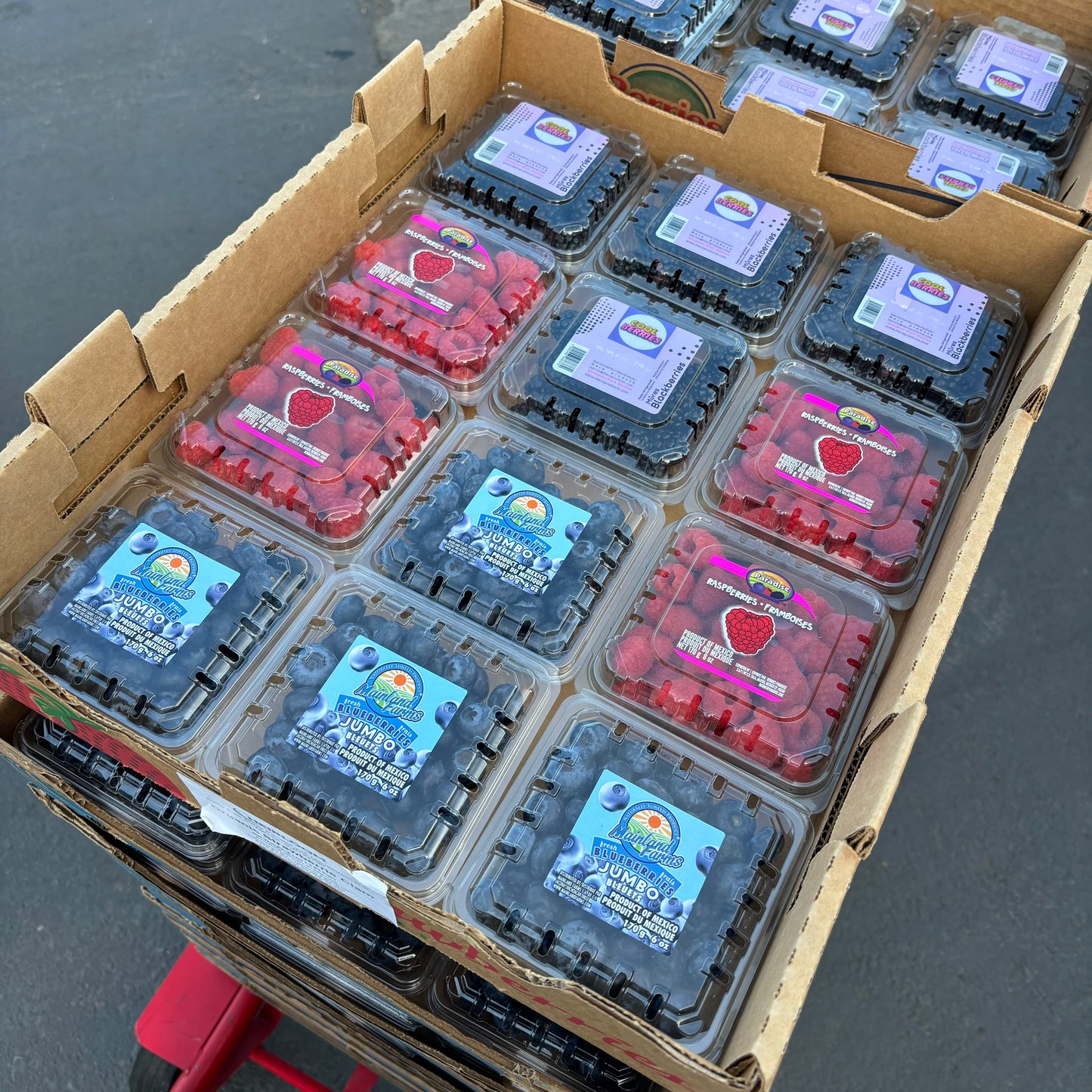 Berry Box (12 packs)